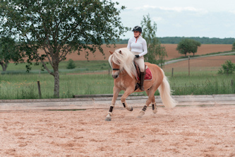 Reiterferien Deutschland
